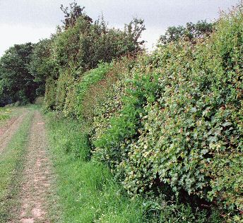 Peter Wakely - Natural England